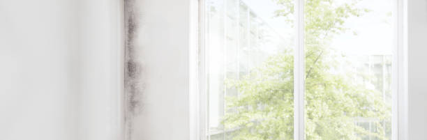 Best Biohazard Mold Removal  in Shrewsbury, NJ